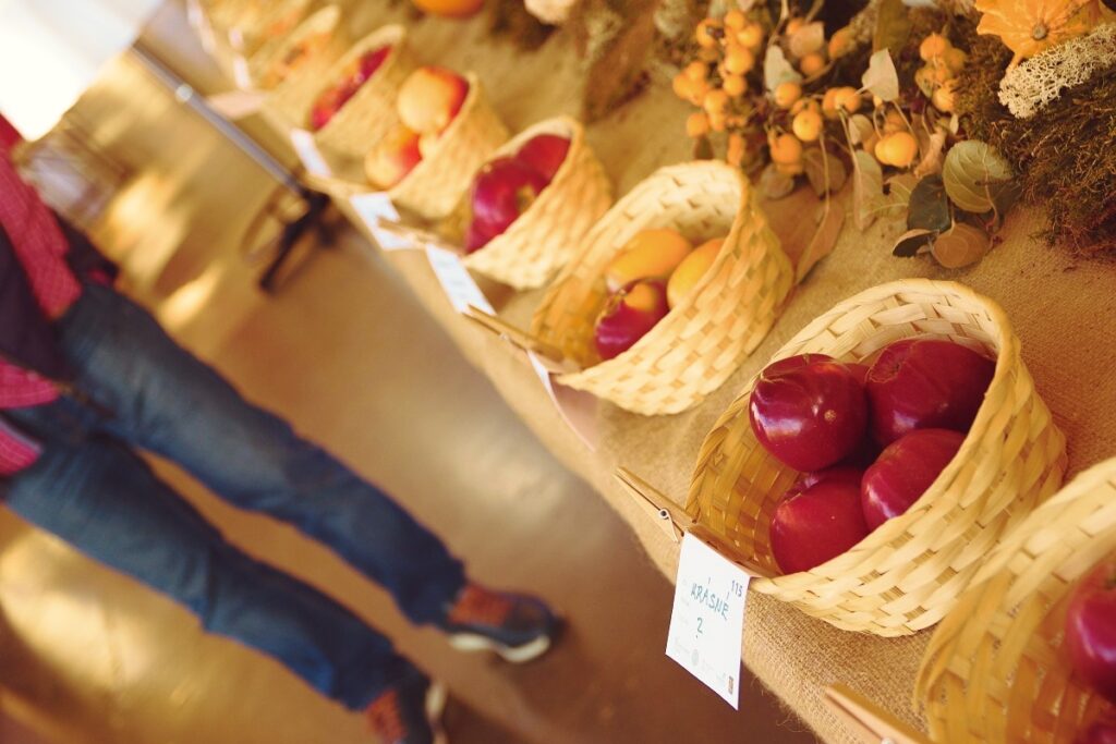 Vůně hub i chuť jablek. Dva odstíny podzimních výstav v Mariánských Lázních
